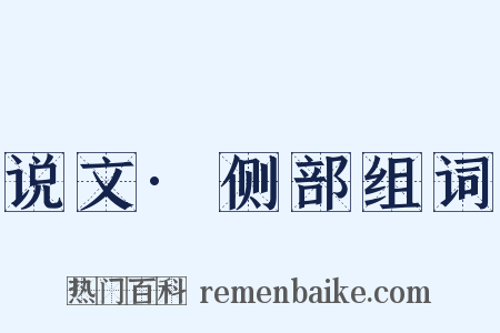 说文·侧部组词是什么意思的图片